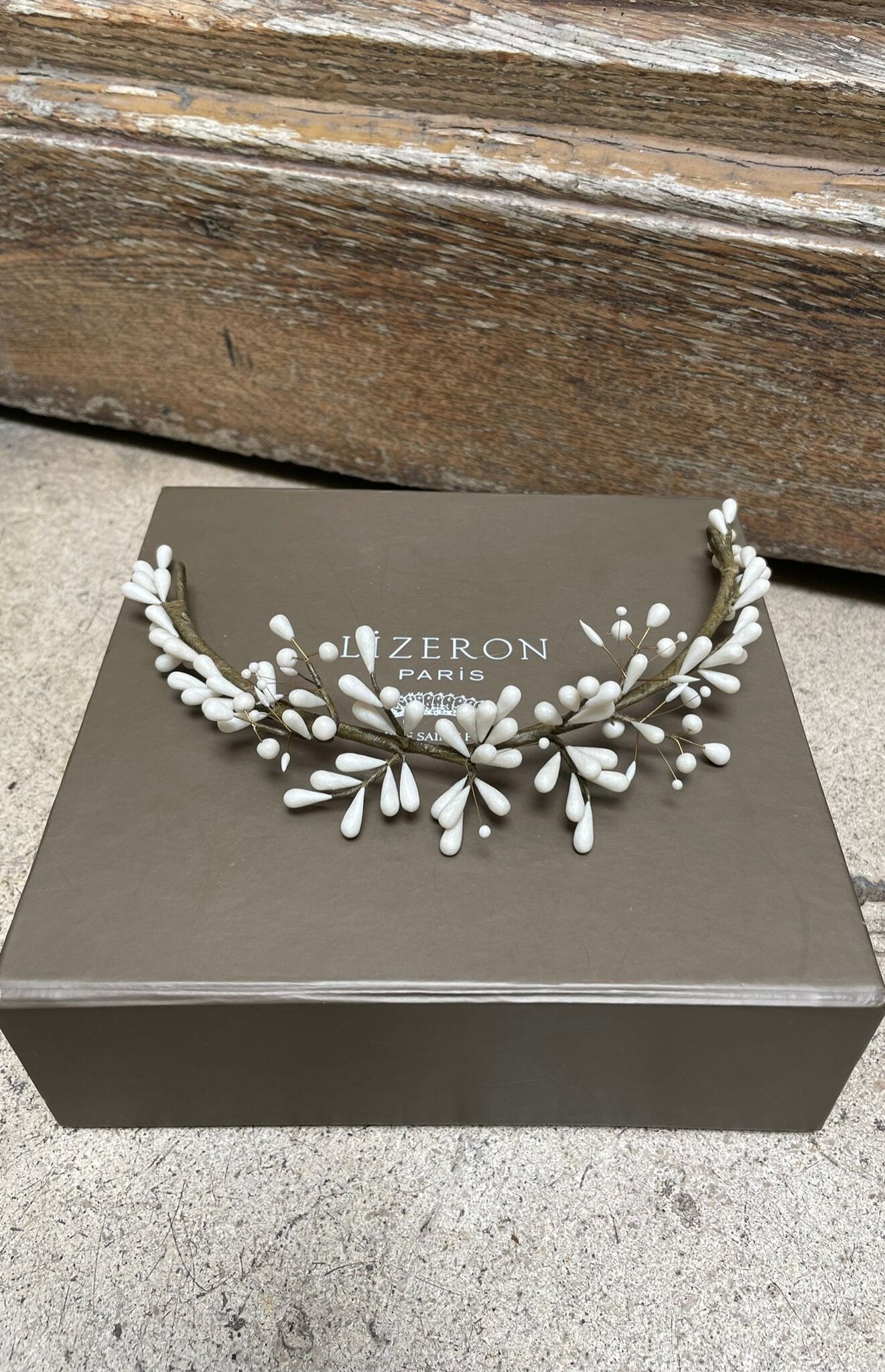 Lizeron - Peigne Calvi