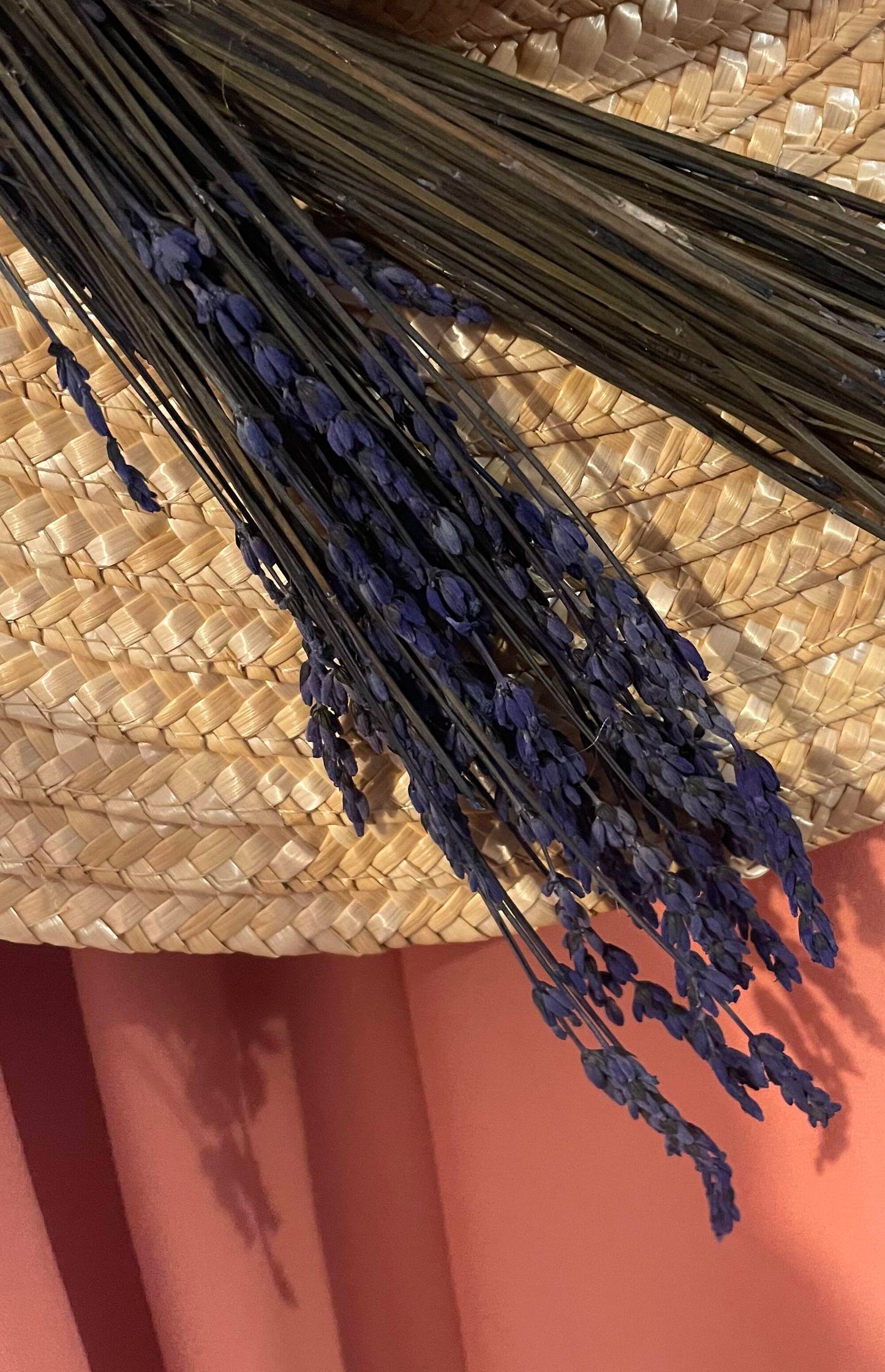 Mariquita Trasquila - Capeline lavande