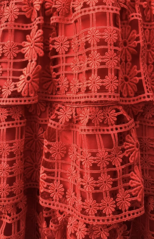 Self-Portrait - Robe dentelle rouge